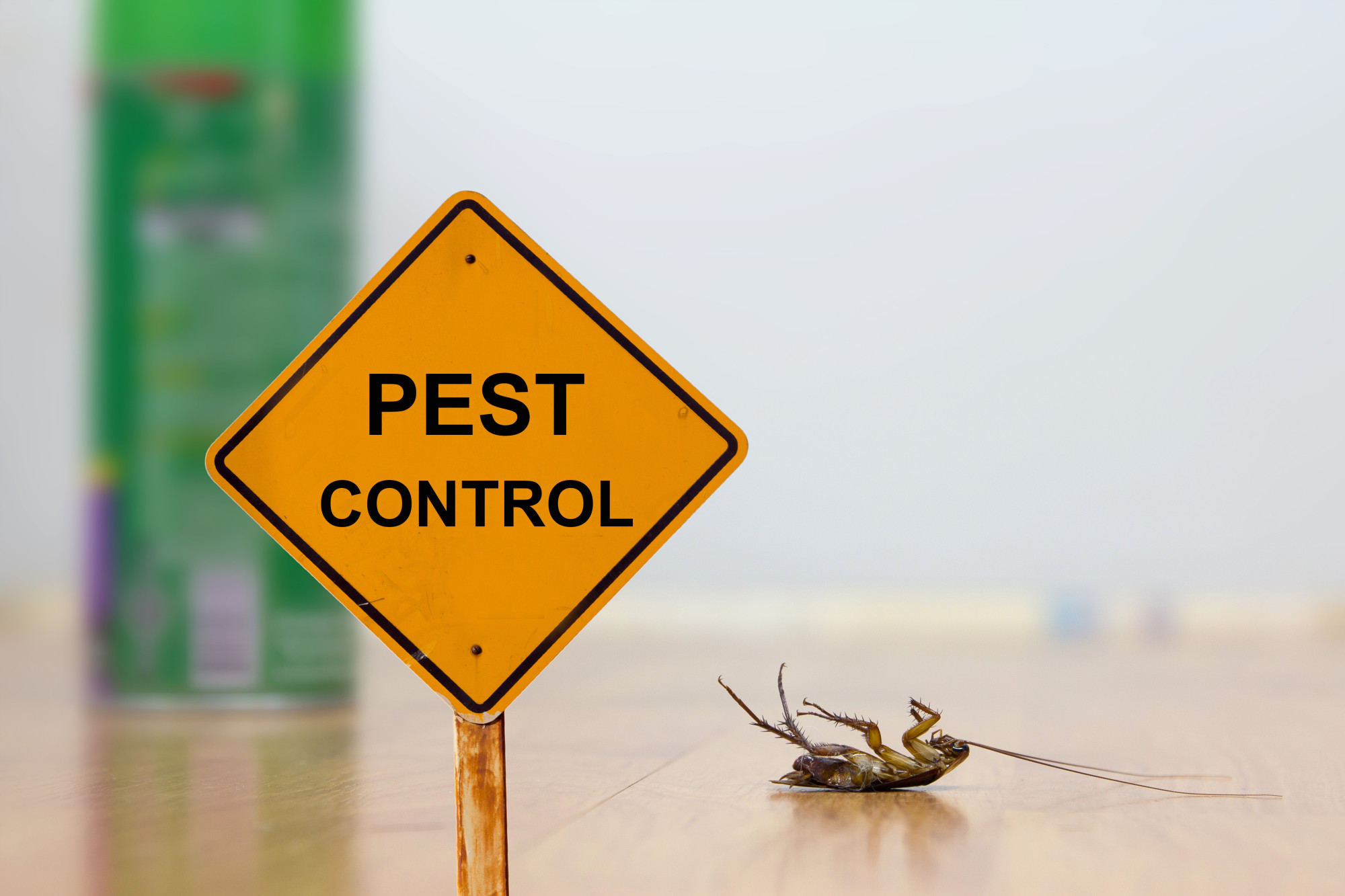 Pest Control Company