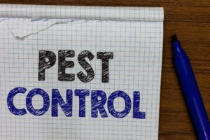 pest control leads